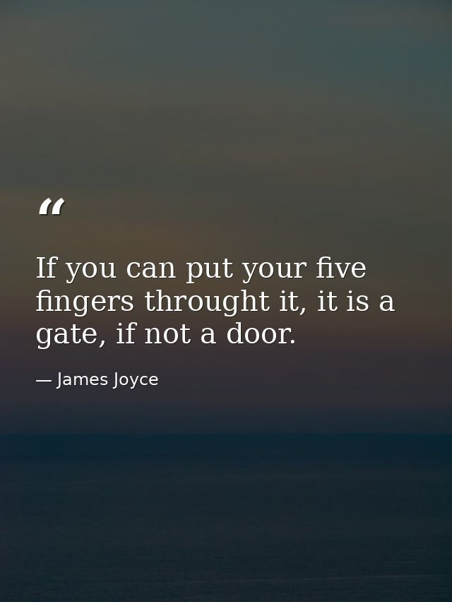 If you can put your five fingers throught it, it is a gate, if not a door. — James Joyce