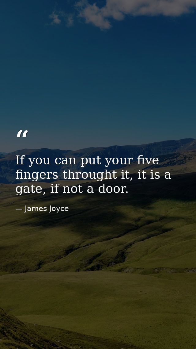 If you can put your five fingers throught it, it is a gate, if not a door. — James Joyce