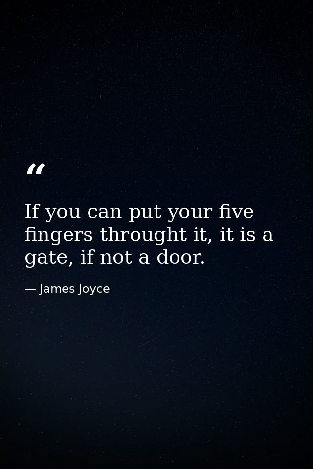 If you can put your five fingers throught it, it is a gate, if not a door. — James Joyce