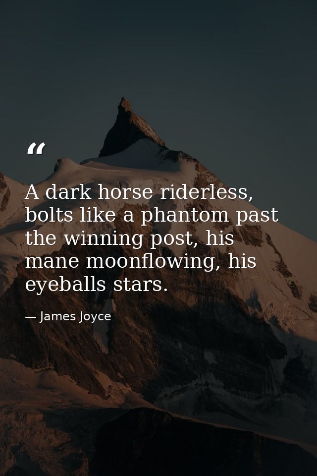 A dark horse riderless, bolts like a phantom past the winning post, his mane moonflowing, his eyeballs stars. — James Joyce