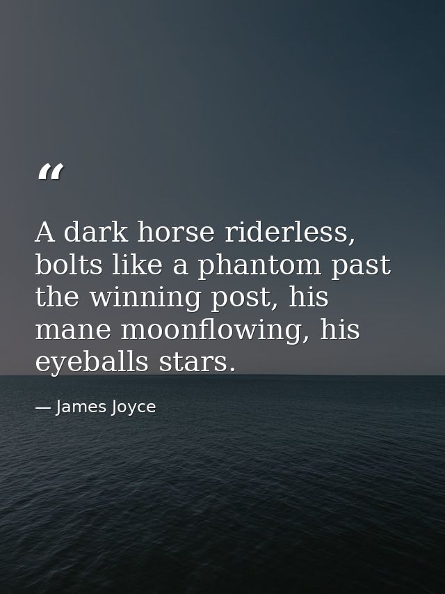 A dark horse riderless, bolts like a phantom past the winning post, his mane moonflowing, his eyeballs stars. — James Joyce