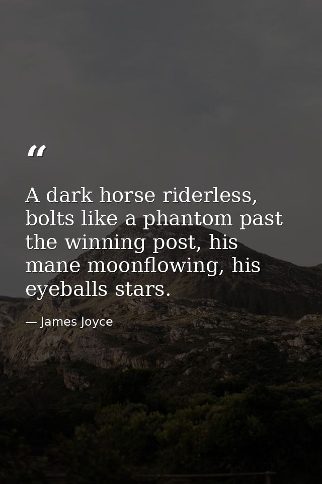 A dark horse riderless, bolts like a phantom past the winning post, his mane moonflowing, his eyeballs stars. — James Joyce
