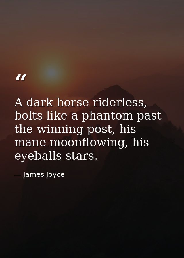 A dark horse riderless, bolts like a phantom past the winning post, his mane moonflowing, his eyeballs stars. — James Joyce