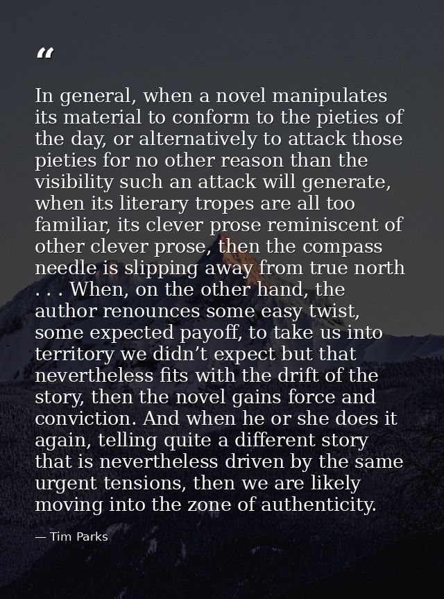 In general, when a novel manipulates its material to conform to the pieties of the day, or alternatively to attack those — Tim Parks