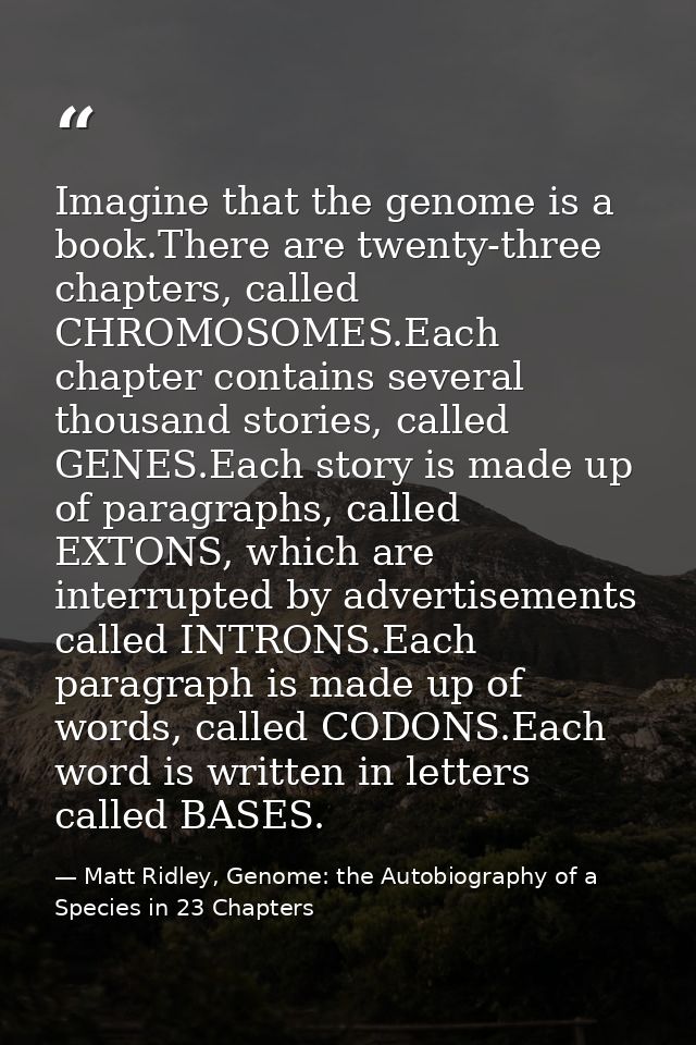Imagine that the genome is a book.There are twenty-three chapters, called CHROMOSOMES.Each chapter contains several thou — Matt Ridley, Genome: the Autobiography of a Species in 23 Chapters
