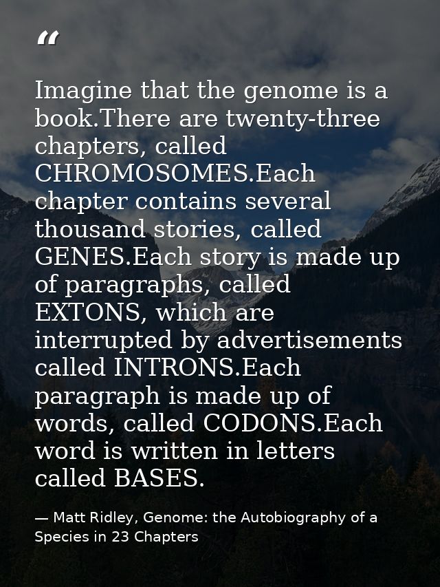 Imagine that the genome is a book.There are twenty-three chapters, called CHROMOSOMES.Each chapter contains several thou — Matt Ridley, Genome: the Autobiography of a Species in 23 Chapters