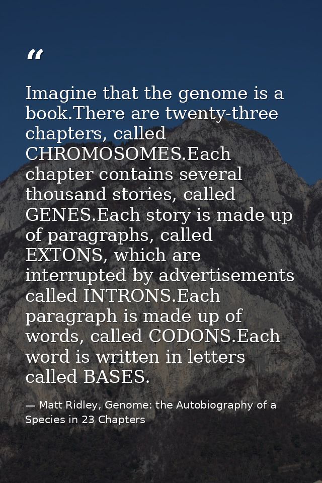 Imagine that the genome is a book.There are twenty-three chapters, called CHROMOSOMES.Each chapter contains several thou — Matt Ridley, Genome: the Autobiography of a Species in 23 Chapters