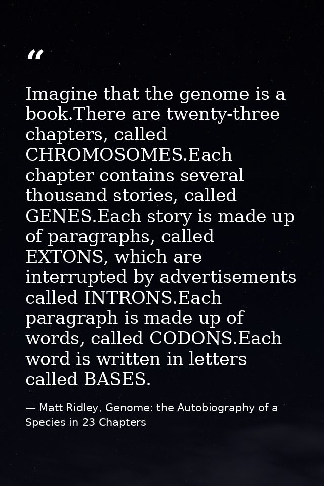 Imagine that the genome is a book.There are twenty-three chapters, called CHROMOSOMES.Each chapter contains several thou — Matt Ridley, Genome: the Autobiography of a Species in 23 Chapters