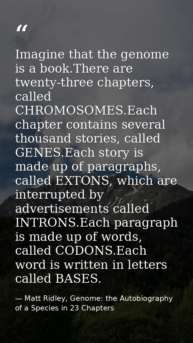 Imagine that the genome is a book.There are twenty-three chapters, called CHROMOSOMES.Each chapter contains several thou — Matt Ridley, Genome: the Autobiography of a Species in 23 Chapters