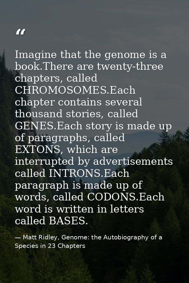 Imagine that the genome is a book.There are twenty-three chapters, called CHROMOSOMES.Each chapter contains several thou — Matt Ridley, Genome: the Autobiography of a Species in 23 Chapters