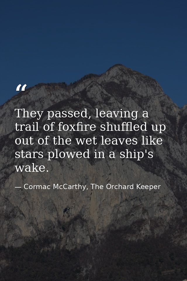 They passed, leaving a trail of foxfire shuffled up out of the wet leaves like stars plowed in a ship's wake. — Cormac McCarthy, The Orchard Keeper