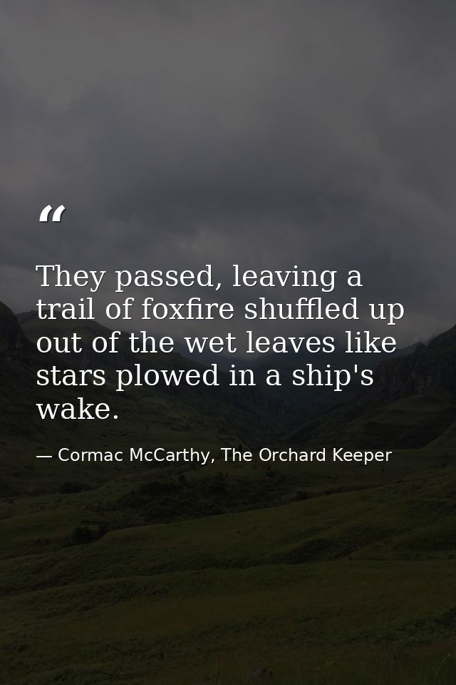 They passed, leaving a trail of foxfire shuffled up out of the wet leaves like stars plowed in a ship's wake. — Cormac McCarthy, The Orchard Keeper