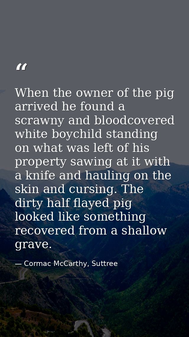 When the owner of the pig arrived he found a scrawny and bloodcovered white boychild standing on what was left of his pr — Cormac McCarthy, Suttree