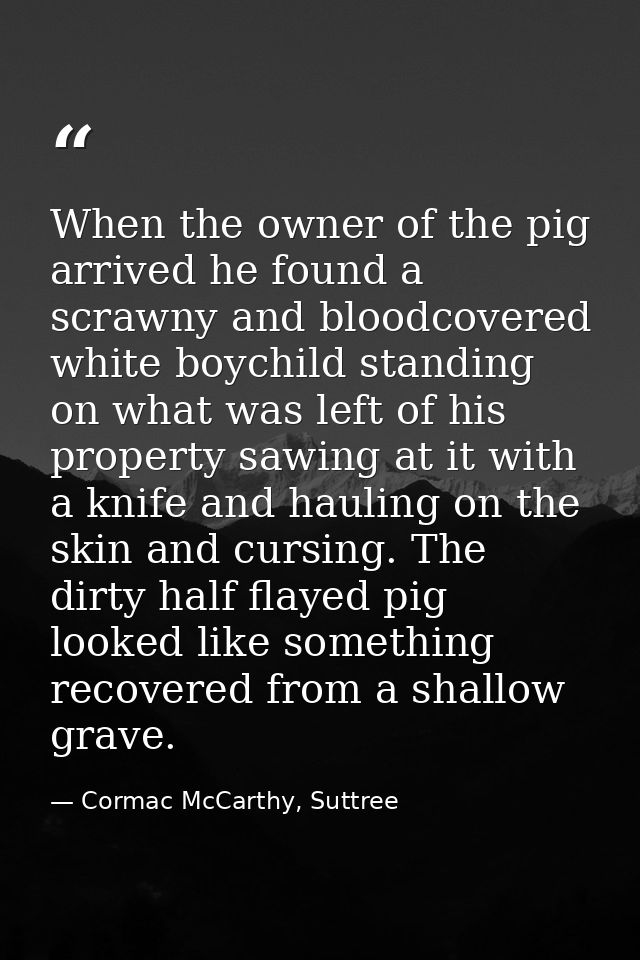When the owner of the pig arrived he found a scrawny and bloodcovered white boychild standing on what was left of his pr — Cormac McCarthy, Suttree