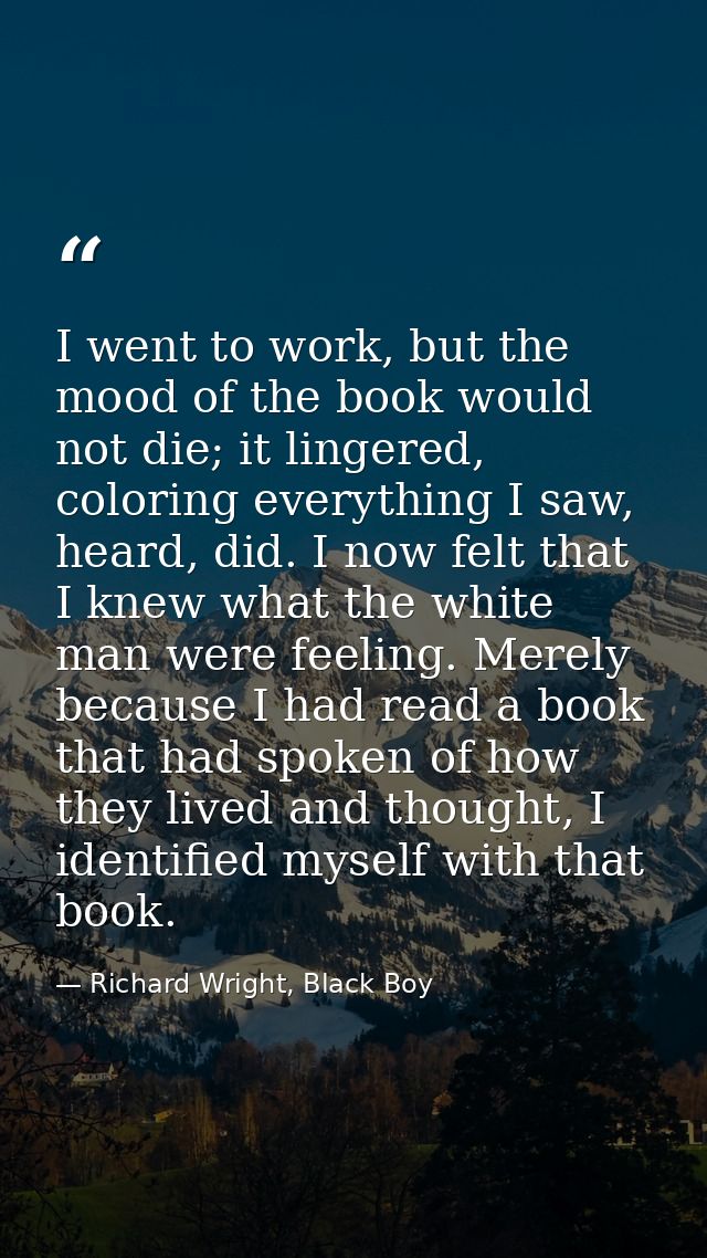 I went to work, but the mood of the book would not die; it lingered, coloring everything I saw, heard, did. I now felt t — Richard Wright, Black Boy