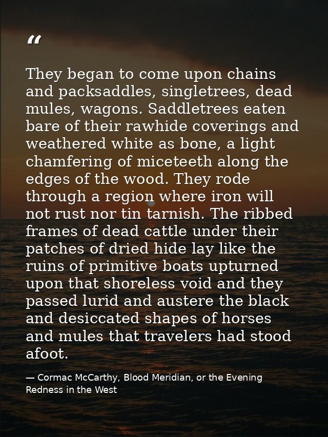 They began to come upon chains and packsaddles, singletrees, dead mules, wagons. Saddletrees eaten bare of their rawhide — Cormac McCarthy, Blood Meridian, or the Evening Redness in the West