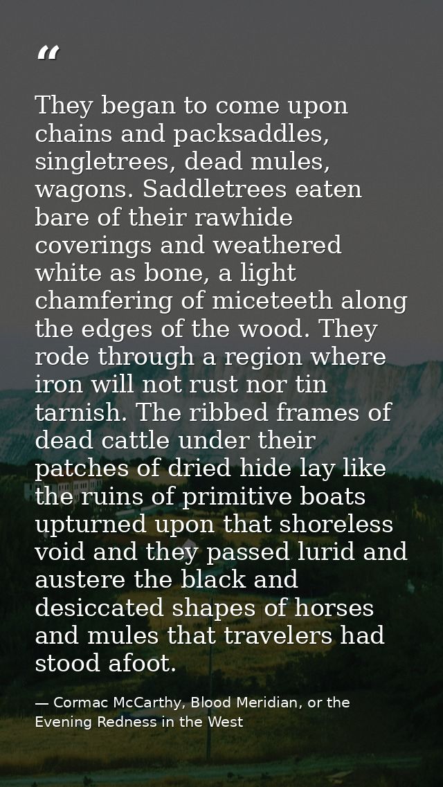 They began to come upon chains and packsaddles, singletrees, dead mules, wagons. Saddletrees eaten bare of their rawhide — Cormac McCarthy, Blood Meridian, or the Evening Redness in the West