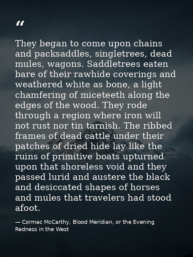 They began to come upon chains and packsaddles, singletrees, dead mules, wagons. Saddletrees eaten bare of their rawhide — Cormac McCarthy, Blood Meridian, or the Evening Redness in the West