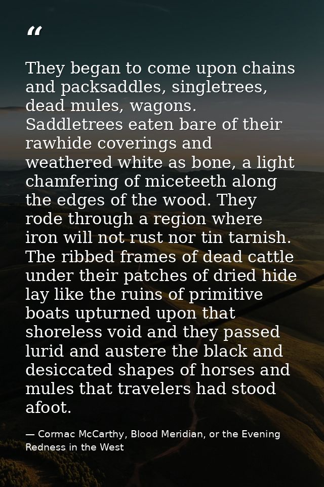 They began to come upon chains and packsaddles, singletrees, dead mules, wagons. Saddletrees eaten bare of their rawhide — Cormac McCarthy, Blood Meridian, or the Evening Redness in the West