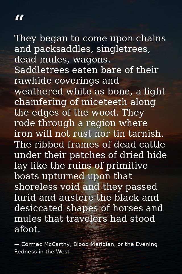 They began to come upon chains and packsaddles, singletrees, dead mules, wagons. Saddletrees eaten bare of their rawhide — Cormac McCarthy, Blood Meridian, or the Evening Redness in the West
