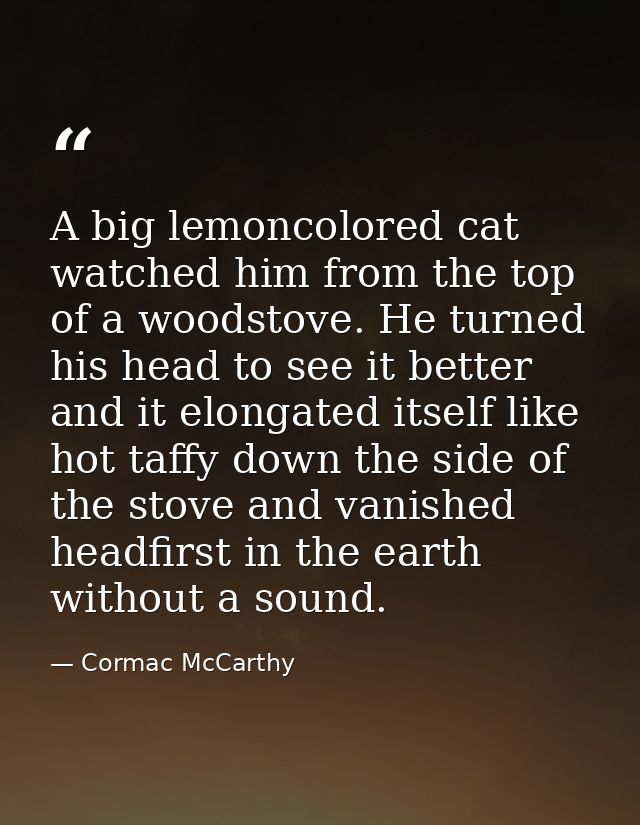 A big lemoncolored cat watched him from the top of a woodstove. He turned his head to see it better and it elongated its — Cormac McCarthy