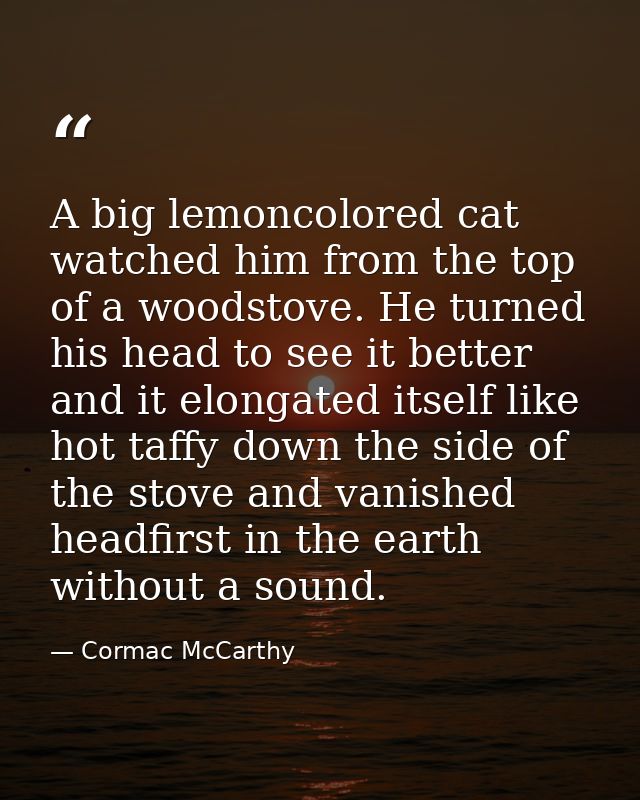 A big lemoncolored cat watched him from the top of a woodstove. He turned his head to see it better and it elongated its — Cormac McCarthy