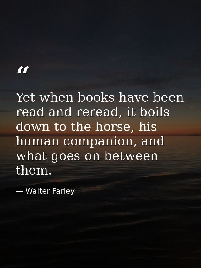 Yet when books have been read and reread, it boils down to the horse, his human companion, and what goes on between them — Walter Farley