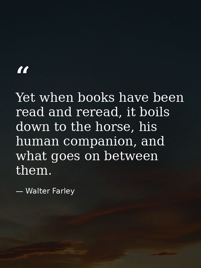 Yet when books have been read and reread, it boils down to the horse, his human companion, and what goes on between them — Walter Farley
