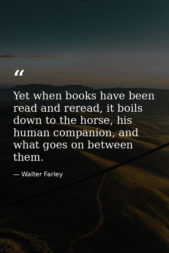 Yet when books have been read and reread, it boils down to the horse, his human companion, and what goes on between them — Walter Farley