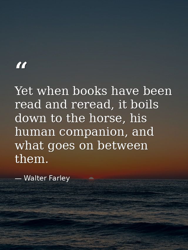 Yet when books have been read and reread, it boils down to the horse, his human companion, and what goes on between them — Walter Farley
