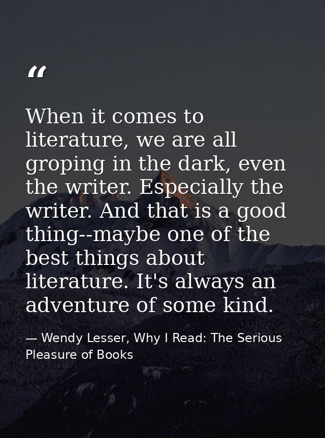 When it comes to literature, we are all groping in the dark, even the writer. Especially the writer. And that is a good  — Wendy Lesser, Why I Read: The Serious Pleasure of Books