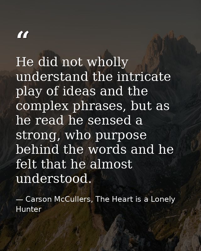 He did not wholly understand the intricate play of ideas and the complex phrases, but as he read he sensed a strong, who — Carson McCullers, The Heart is a Lonely Hunter