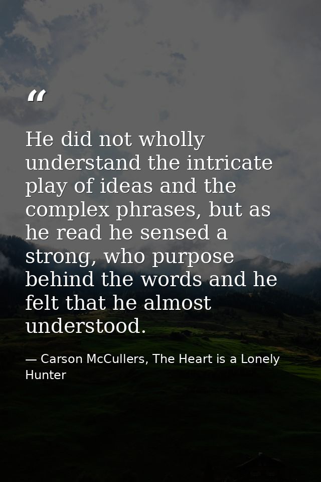 He did not wholly understand the intricate play of ideas and the complex phrases, but as he read he sensed a strong, who — Carson McCullers, The Heart is a Lonely Hunter