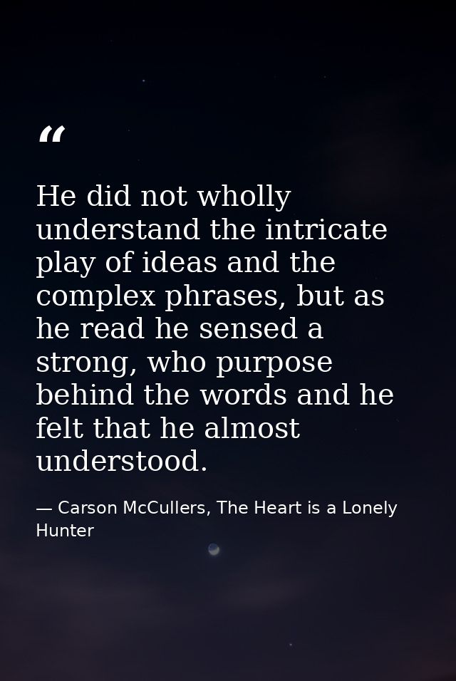 He did not wholly understand the intricate play of ideas and the complex phrases, but as he read he sensed a strong, who — Carson McCullers, The Heart is a Lonely Hunter