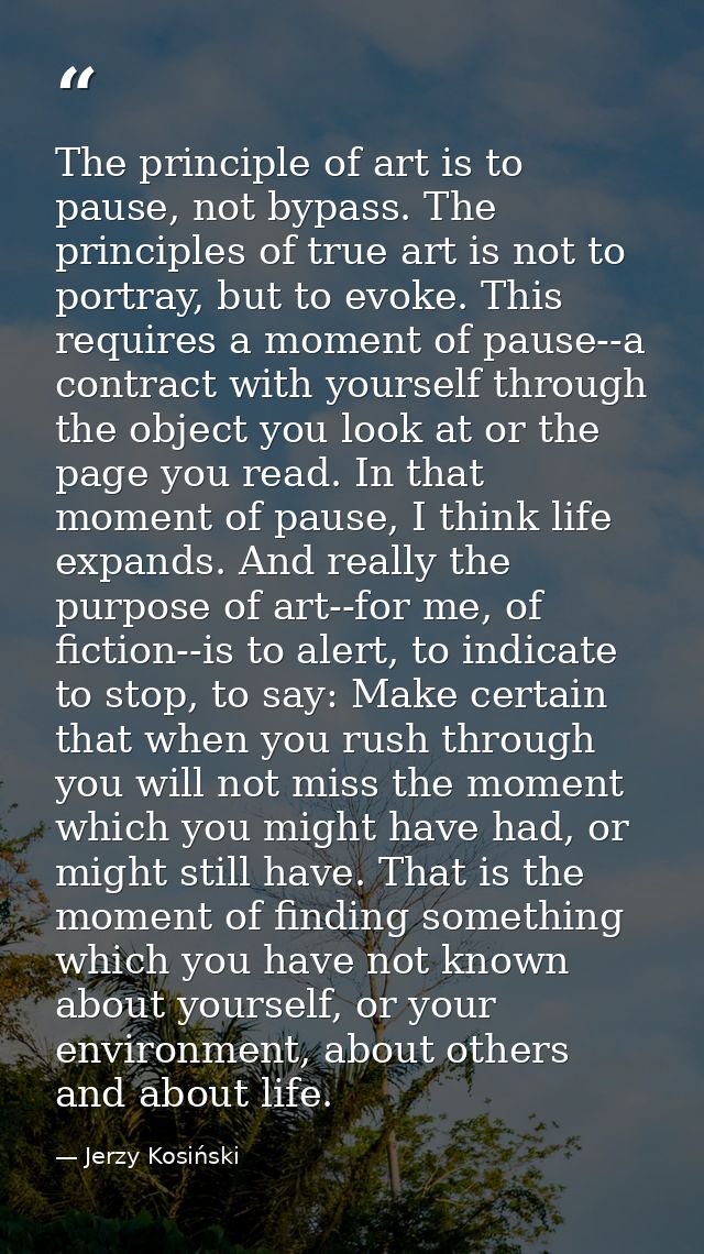 The principle of art is to pause, not bypass. The principles of true art is not to portray, but to evoke. This requires  — Jerzy Kosiński