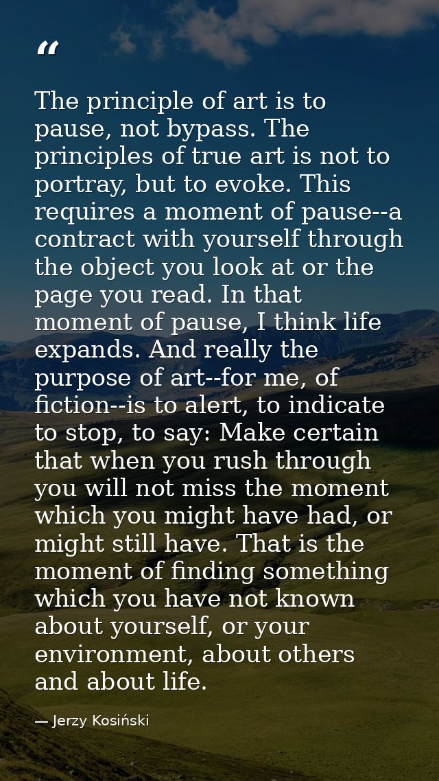 The principle of art is to pause, not bypass. The principles of true art is not to portray, but to evoke. This requires  — Jerzy Kosiński