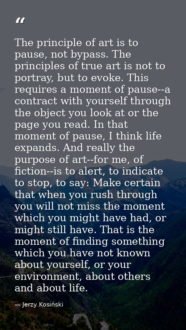 The principle of art is to pause, not bypass. The principles of true art is not to portray, but to evoke. This requires  — Jerzy Kosiński