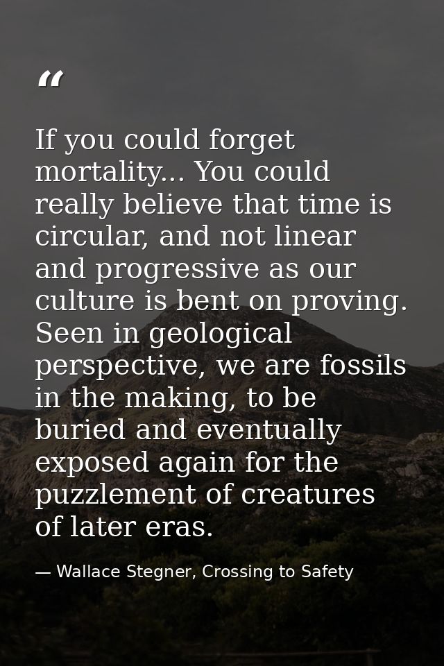 If you could forget mortality... You could really believe that time is circular, and not linear and progressive as our c — Wallace Stegner, Crossing to Safety