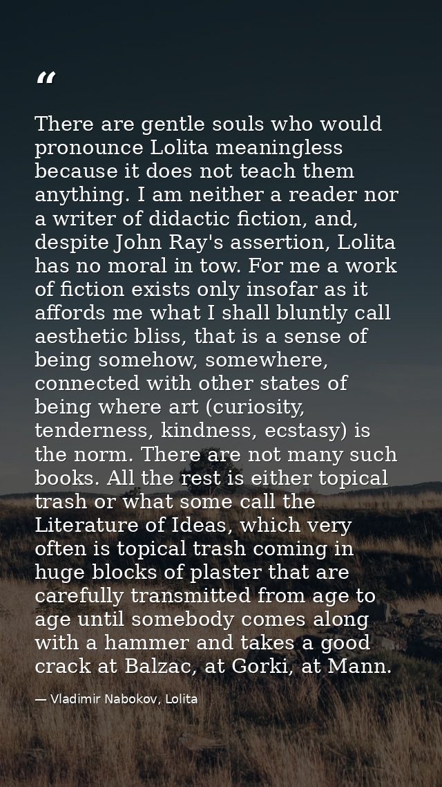 There are gentle souls who would pronounce Lolita meaningless because it does not teach them anything. I am neither a re — Vladimir Nabokov, Lolita