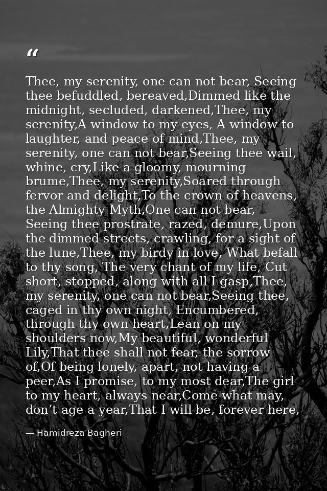 Thee, my serenity, one can not bear, Seeing thee befuddled, bereaved,Dimmed like the midnight, secluded, darkened,Thee,  — Hamidreza Bagheri