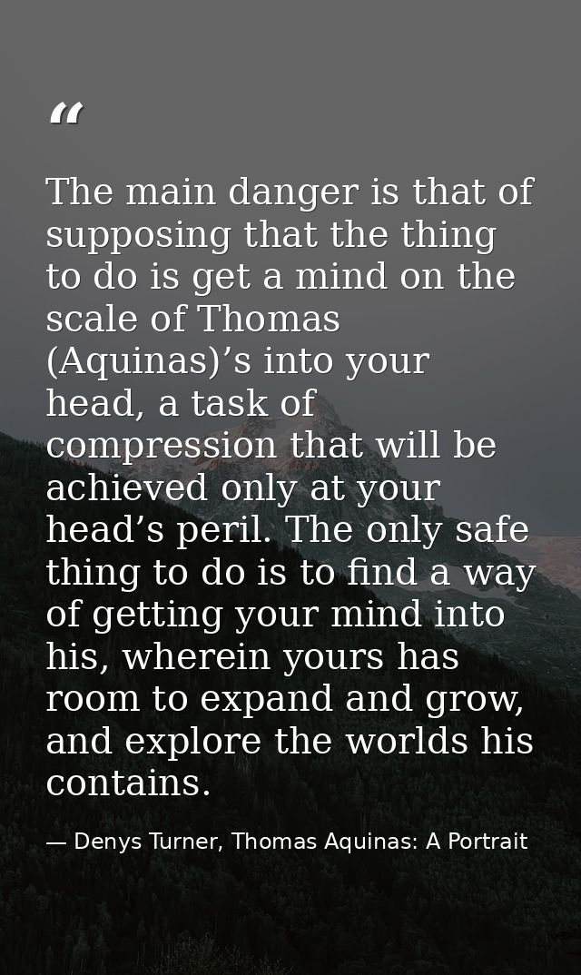 The main danger is that of supposing that the thing to do is get a mind on the scale of Thomas (Aquinas)’s into your hea — Denys Turner, Thomas Aquinas: A Portrait