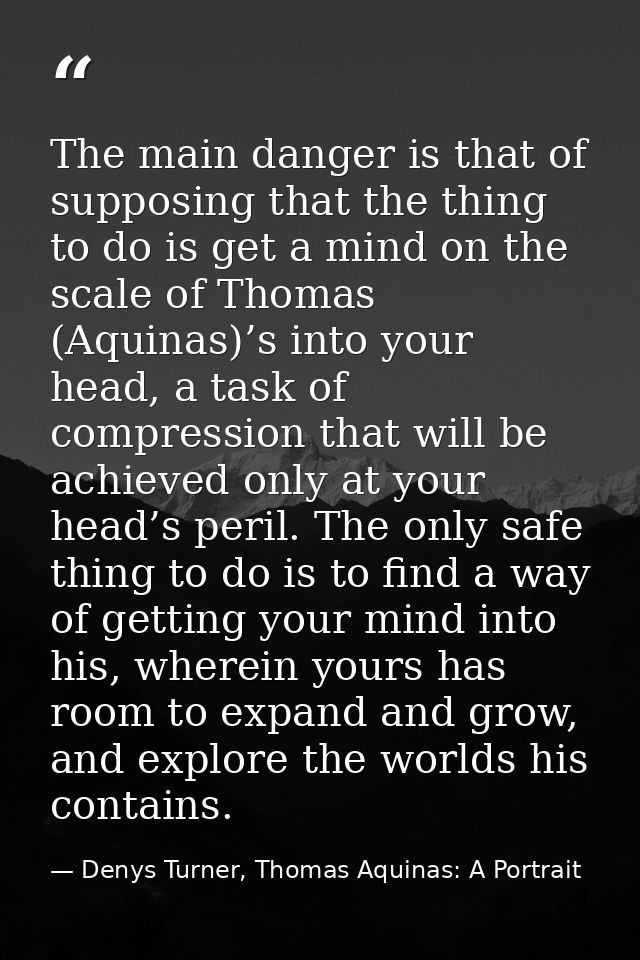 The main danger is that of supposing that the thing to do is get a mind on the scale of Thomas (Aquinas)’s into your hea — Denys Turner, Thomas Aquinas: A Portrait