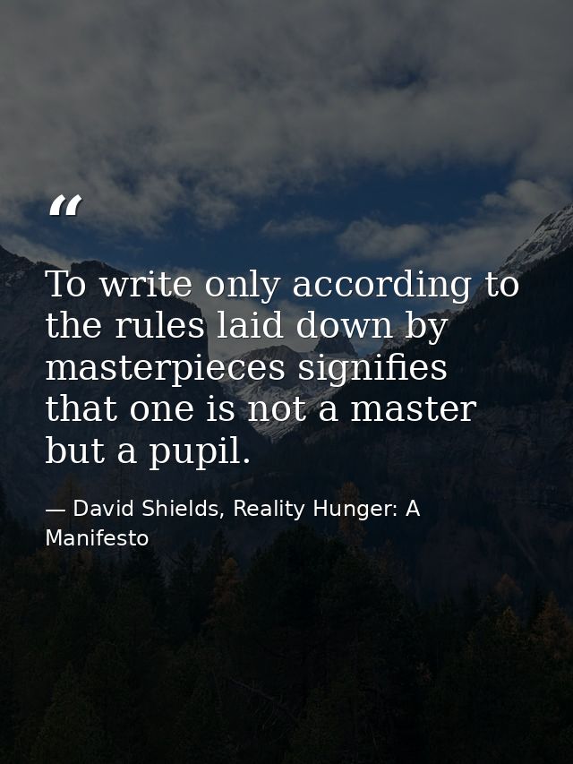To write only according to the rules laid down by masterpieces signifies that one is not a master but a pupil. — David Shields, Reality Hunger: A Manifesto