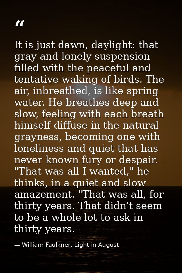 It is just dawn, daylight: that gray and lonely suspension filled with the peaceful and tentative waking of birds. The a — William Faulkner, Light in August