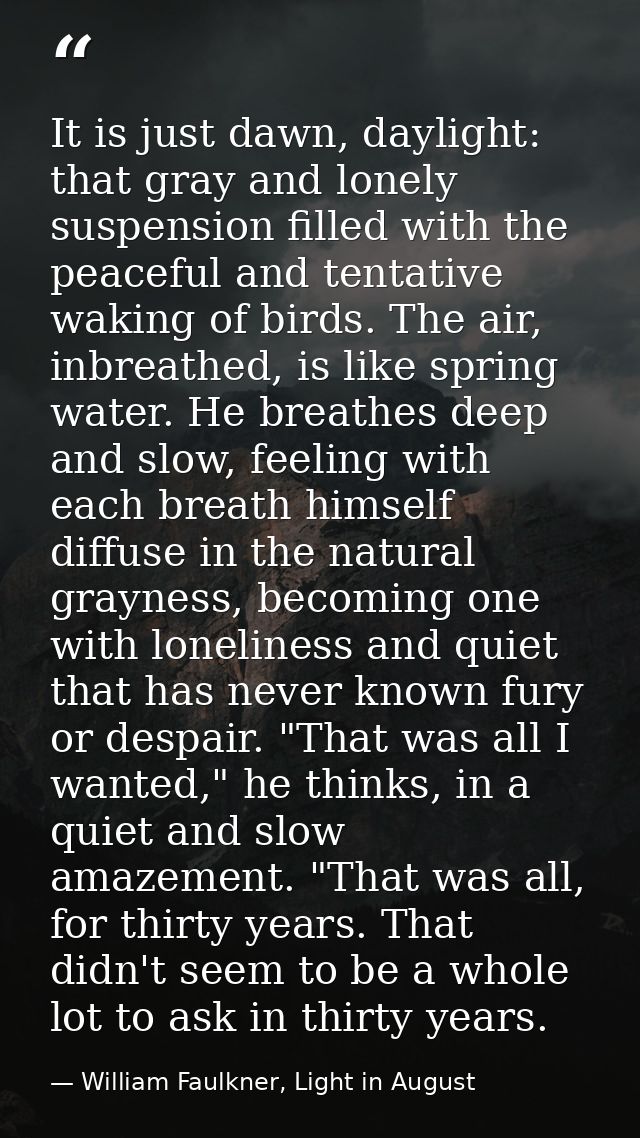 It is just dawn, daylight: that gray and lonely suspension filled with the peaceful and tentative waking of birds. The a — William Faulkner, Light in August