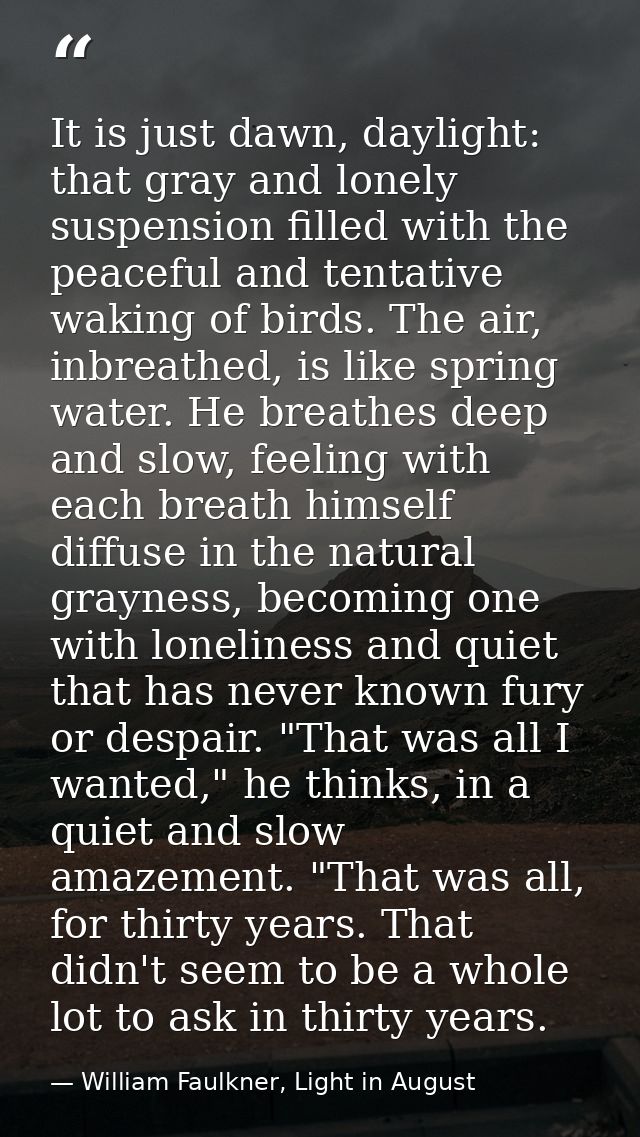 It is just dawn, daylight: that gray and lonely suspension filled with the peaceful and tentative waking of birds. The a — William Faulkner, Light in August