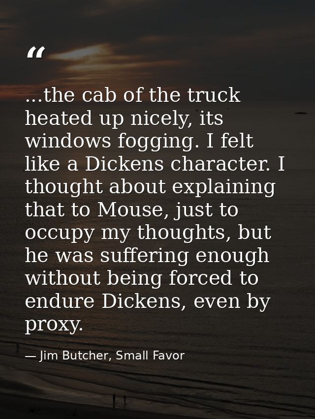 ...the cab of the truck heated up nicely, its windows fogging. I felt like a Dickens character. I thought about explaini — Jim Butcher, Small Favor