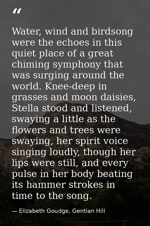 Water, wind and birdsong were the echoes in this quiet place of a great chiming symphony that was surging around the wor — Elizabeth Goudge, Gentian Hill