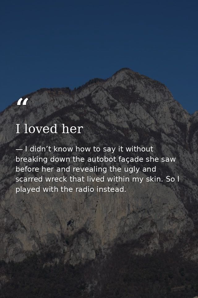 I loved her — I didn’t know how to say it without breaking down the autobot façade she saw before her and revealing the ugly and scarred wreck that lived within my skin. So I played with the radio instead.