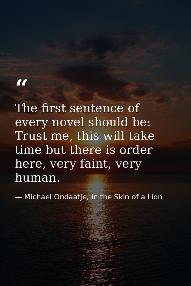 The first sentence of every novel should be: Trust me, this will take time but there is order here, very faint, very hum — Michael Ondaatje, In the Skin of a Lion